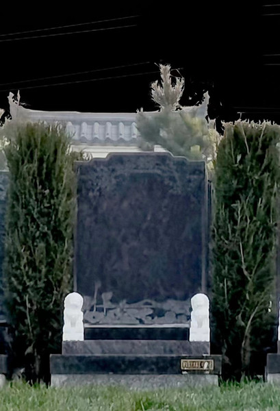 Ĺ��չʾ
